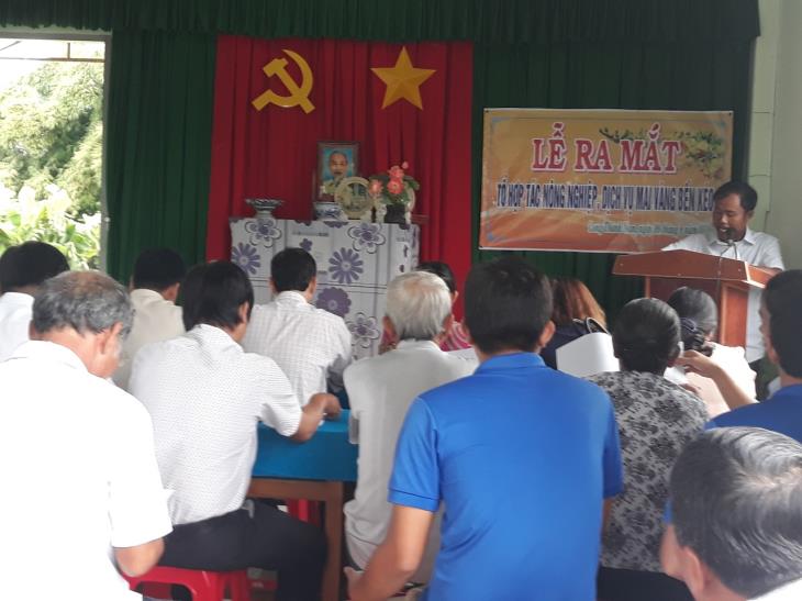Ra mắt Tổ hợp tác nông nghiệp dịch vụ Mai Vàng Bến Kéo tại xã Long Thành Nam